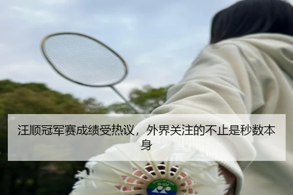 汪顺冠军赛成绩受热议，外界关注的不止是秒数本身 - aitiyu